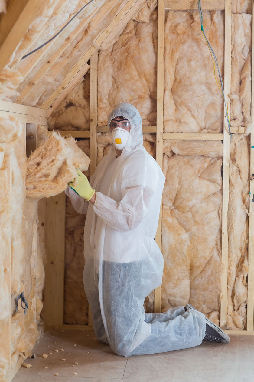 Free Loft Insulation